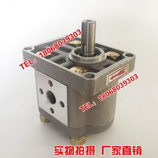E318 E312 E314 E308 E304 E306 E316 CBN 齿轮泵 E320 E325 E310