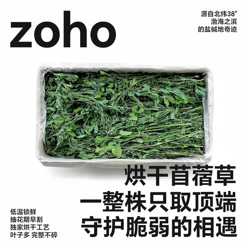 烘干紫花苜蓿牧草兔龙猫豚鼠粮
