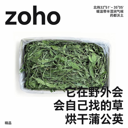 zoho新烘干蒲公英草大叶干草