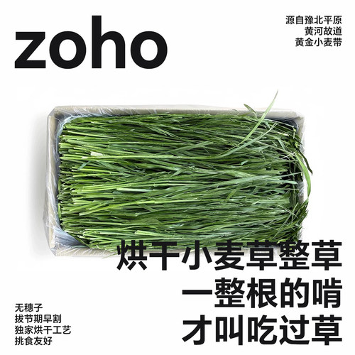 新烘干小麦苗兔龙猫豚鼠干草
