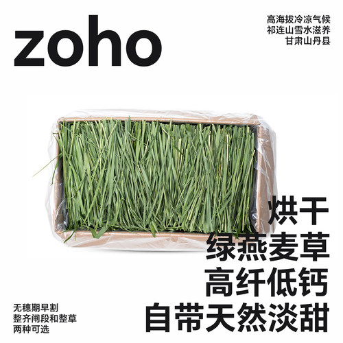 26年新草燕麦草兔龙猫豚鼠适用