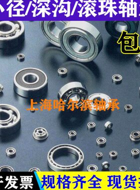 特殊环境用SUS304轴承YL-SUB608ZZ/SUB628ZZ/SUB6000ZZ/SUB6200ZZ