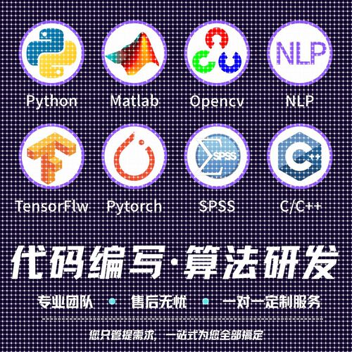 深度学习机器学习算法代做创新python代编程代码指导问题解决