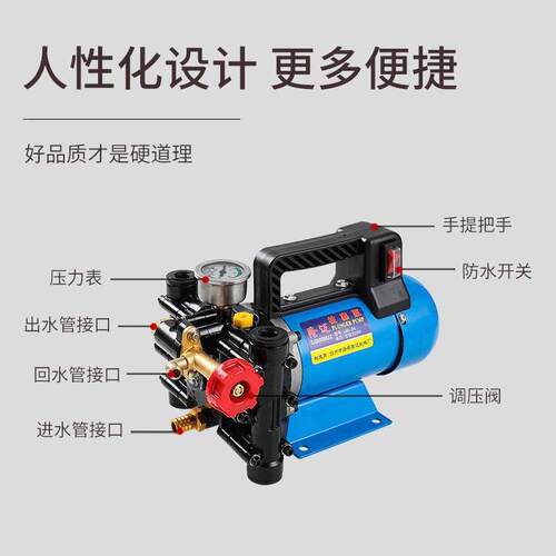 手提式打机农用电动果树喷雾器12V48V60V220伏压双缸柱塞泵