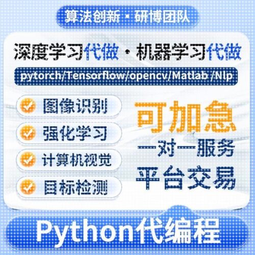 深度机器学习强化python代做程序医学图像处理代编写神经网络调试