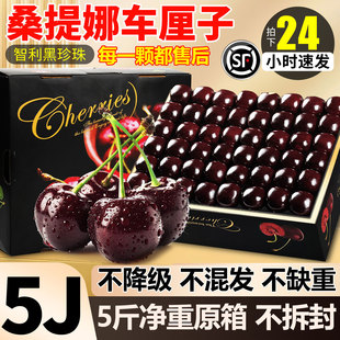 智利进口桑提娜车厘子原箱大5斤装礼盒孕妇新鲜水果樱桃包邮年货