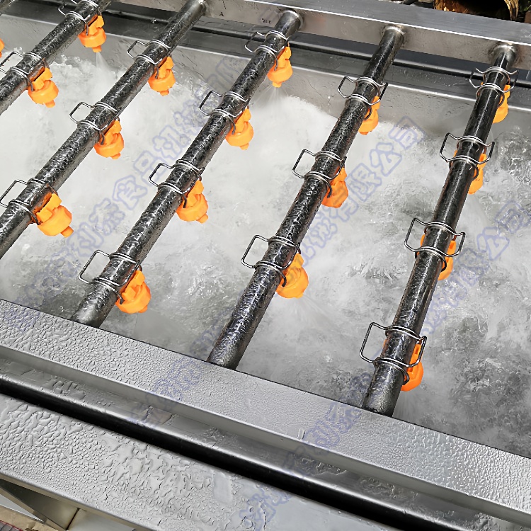 供应牡蛎气泡清洗机高压喷淋山药清洗设备葡萄清洗机干净彻底