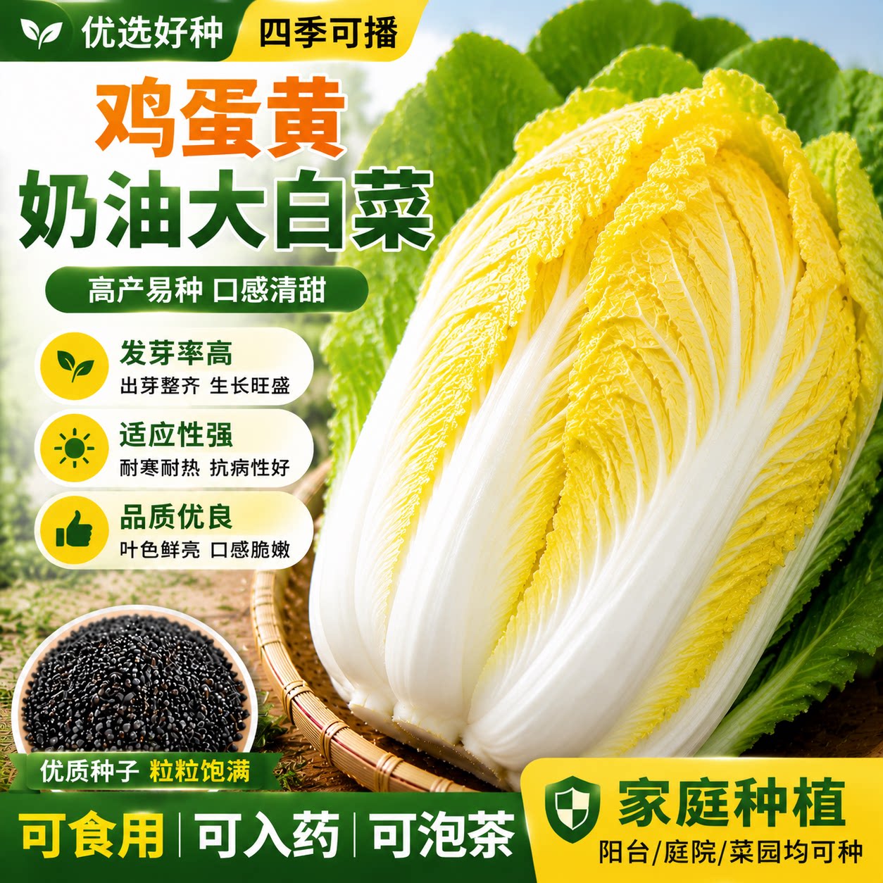 鸡蛋黄奶油大白菜种子四季播