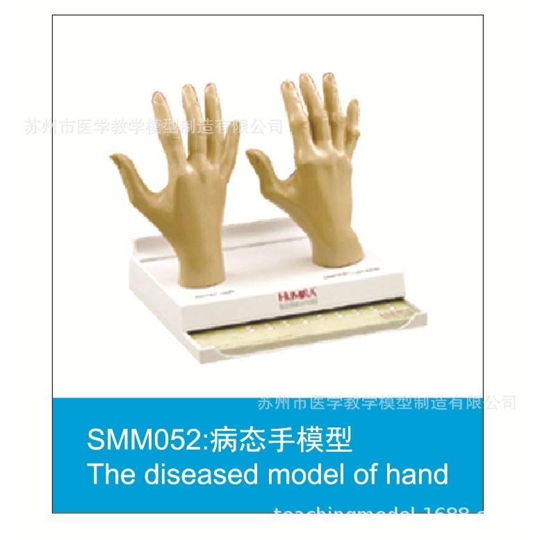 SMM系列促销模型,文具电教/文化用品/商务用品,教学标本/模型,淘宝优惠券,粉丝福利购,淘宝优惠卷