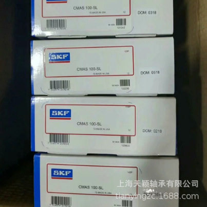 SKF检测笔 SKF CMAS100-SL SKF便携式状态检测仪 CMAS100-SL 正品