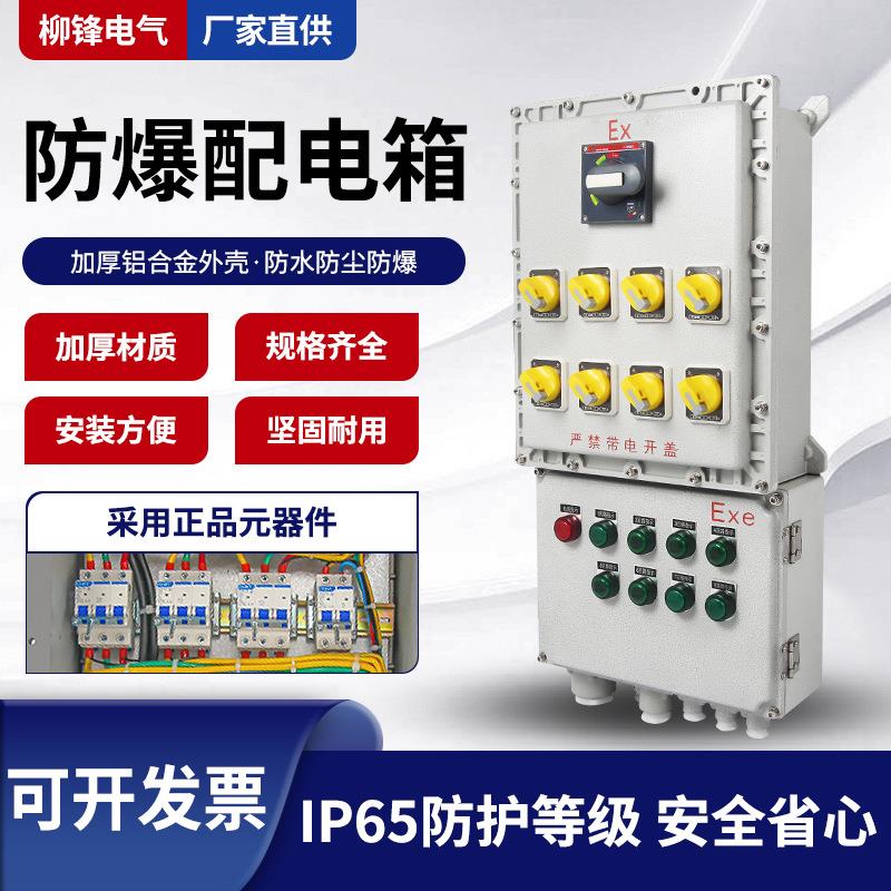 防爆配电箱照明控制电源箱接线检修箱仪表开关插座箱动力柜空箱