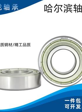 哈尔滨BRHRB轴承6316 6317 6318 6319 6320 6321 6322 6324 -2Z/R