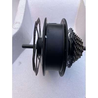 Fah后驱动盘式制动变速齿轮电机36V250W西莫锂电汽车电机九针