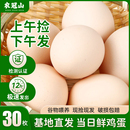农冠山鸡蛋新鲜30枚正宗农家山林散养五谷杂粮农村大个土鸡蛋营养