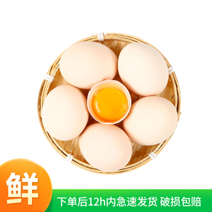农冠山新鲜农家散养土鸡蛋40g*40枚笨鸡蛋谷物鸡蛋月子蛋源头直发