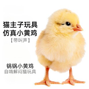 猫咪玩具仿真小鸡仔毛绒小黄鸡宠物猫咪发声玩具自嗨逗猫玩偶鸡