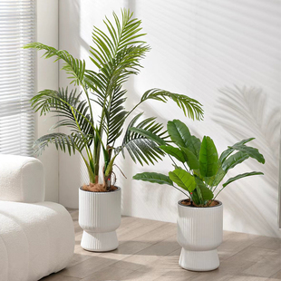 懒人花盆自动吸水花盆免浇水新款 仿陶瓷圆形带底座绿萝兰花多肉盆