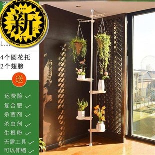 新款 阳台转角落地家用室内多层绿萝花架 y顶天立地花架飘窗悬挂式