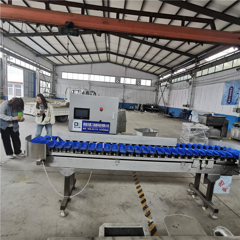 食品水果重量分选机 鲍鱼海参重量分选机 自动化智能分拣机 德工,清洗/食品/商业设备,选果机/分选机,淘宝优惠券,粉丝福利购,淘宝优惠卷