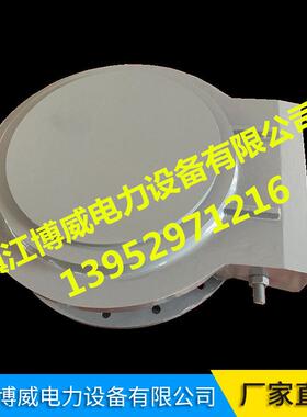 厂家供应 压力真空释放阀SFF508