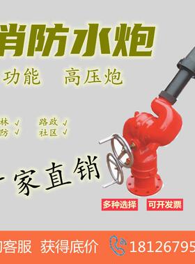 消防水炮PS20-50固定式消防水炮手动泡沫水两用