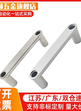 外装型带盖拉手 HHDG100/HHDGS100 铝合金 不锈钢型材板用把手