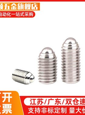 BSJL3/4/5/6/8/10/12/16加长型内六角304不锈钢球头柱塞