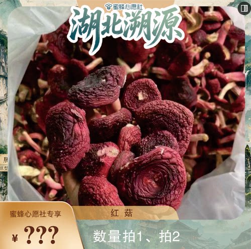 【蜜蜂心愿社】正宗恩施野生红菇