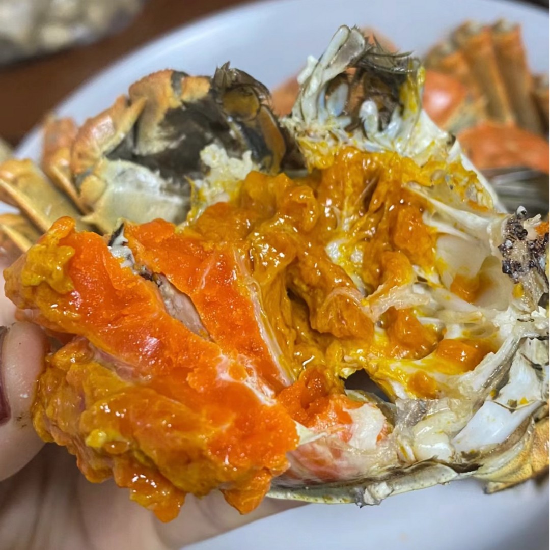 母蟹3.3-3.6两顺丰鲜活大闸蟹全母8只装死蟹/无黄包赔