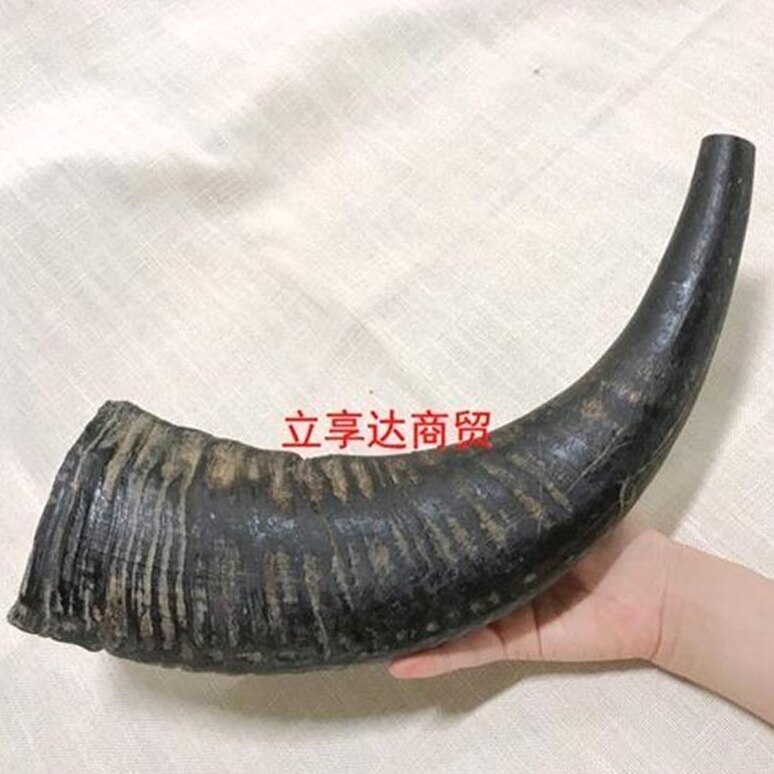 天然打磨黑白牦牛角号角水牛号角铜喇叭法器民族乐器法器