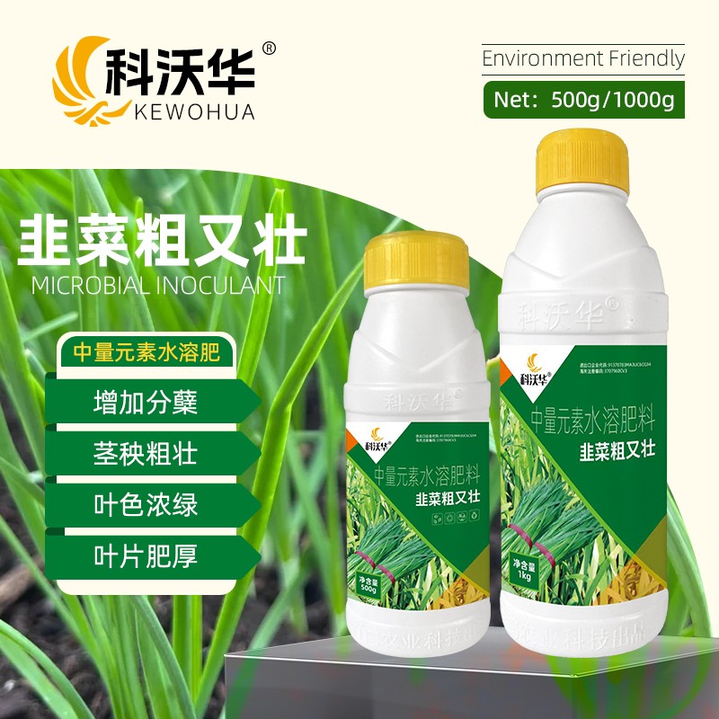 韭菜粗又壮黑又亮增绿增粗增厚壮根抗倒伏黄叶干尖卷叶烂根叶面肥