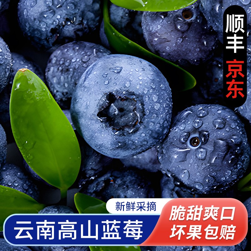 S1顺丰京东云南脆甜蓝莓15-24mm100g*2盒净重200g起内附果径卡