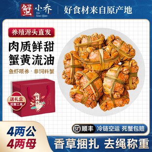 4两公 10只蟹小乔精品大闸蟹鲜活活蟹固城湖螃蟹顺丰 4两母6