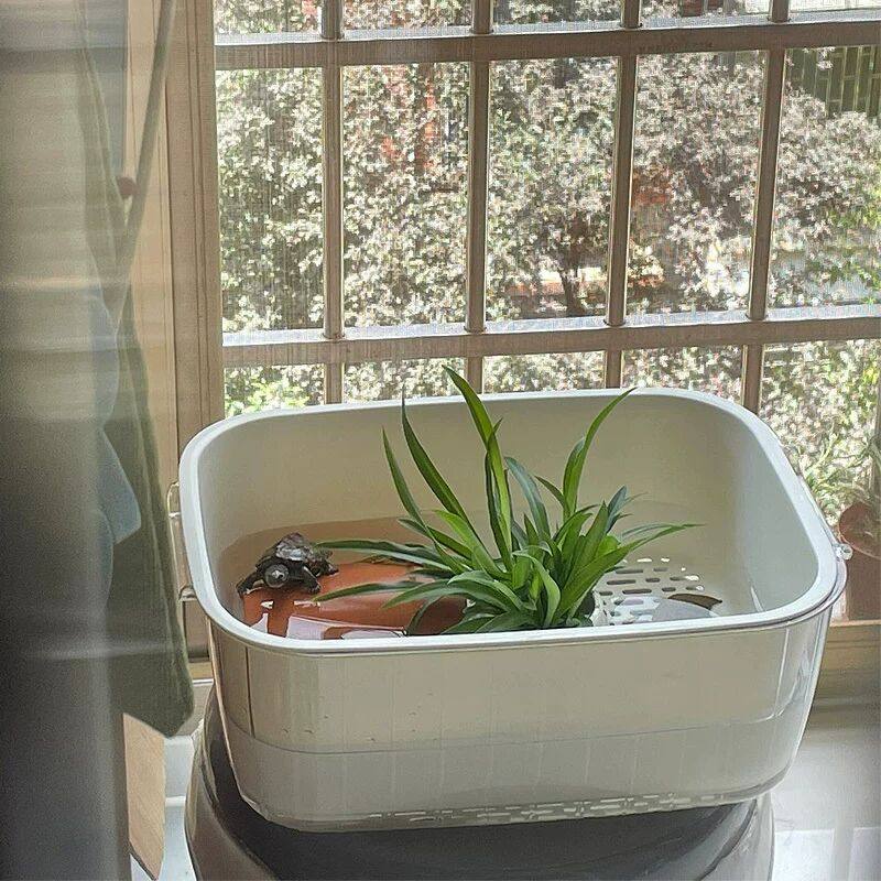 乌龟饲养缸盆沥水篮躲避屋家用桌面小型巴西龟晒台鱼缸换水方便,宠物/宠物食品及用品,底柜/落地缸,淘宝优惠券,粉丝福利购,淘宝优惠卷