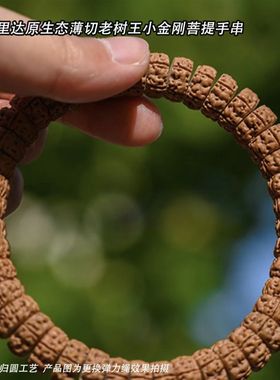 爆肉藏式龙切盘龙单圈小金刚菩提佛珠原桩念珠文玩手串梅花桩手持