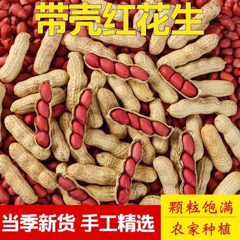 红皮带壳生花生新货四粒薄皮新鲜原味晒干农家种植花生五谷杂粮
