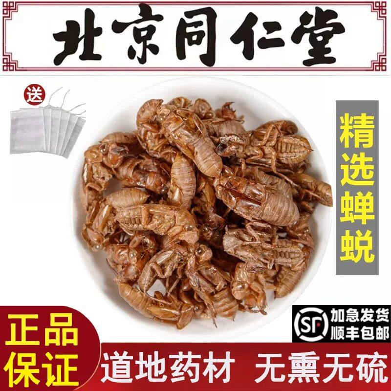 北京同仁堂精选蝉蜕中药材野生蝉衣干货金蝉衣蝉壳知了皮知了壳虫