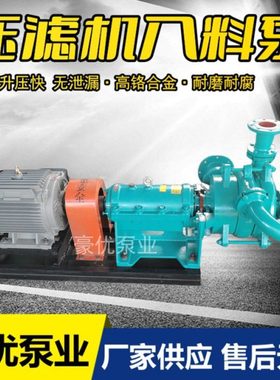 压滤机入料泵洗沙厂入料加压杂质泵100ZJW泥浆泵卧式进料泵喂料泵