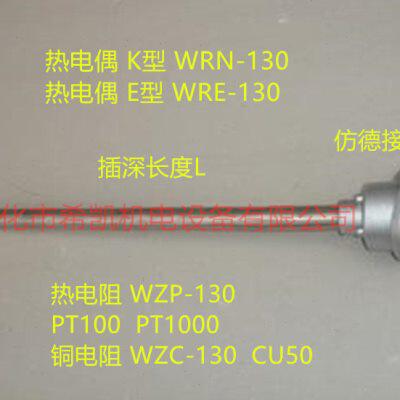 装配式热电偶 铂热电阻 温度传感器 测温探头WRN-130WZP-138PT100