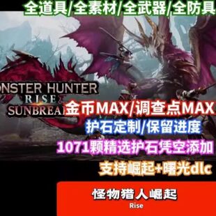 初始档 完美通关档 曙光存档 switch怪物猎人崛起