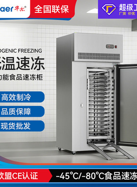 华尔海参速冻柜商用不锈刚急冻柜-45°C风冷超低温冰柜包子速冻机