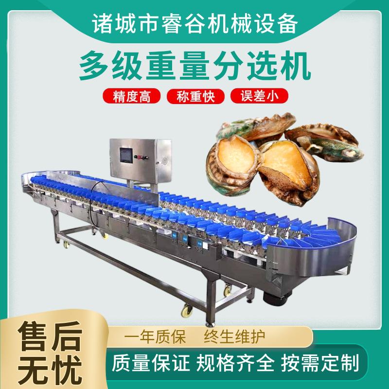红薯土豆分拣机苹果牛油果柑橘橙子重量分选设备水果蔬称重分选机