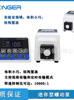 CM100-2A&WX10 迷你型蠕动泵  实验室蠕动泵