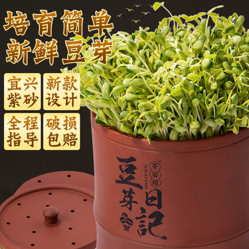 【十年老店】发豆芽机家用非全自动豆芽发芽盆豆芽神器紫砂豆芽罐