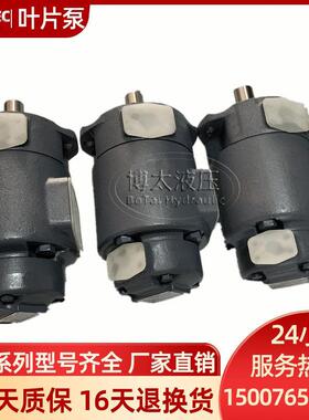 ANSON台湾安颂IVP21/31/32/41/42/43双联定量子母叶片液压油泵现