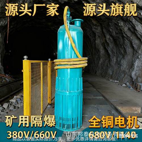 BQS系列型电矿用隔爆型潜水排矿沙MAGA-102 煤设备生产厂家矿用隔