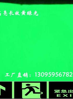 长效高亮注塑夜光贴、膜、路牌油墨美甲用黄绿光夜光粉发光粉