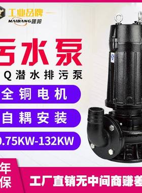 WQ无堵塞污水泵杂质潜污泵排污泥提升水泵QW不阻塞潜水排污泵380V