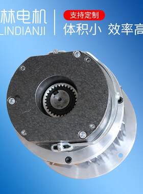 减速电机供应风机电机微型高速无刷直流电机24V72伏