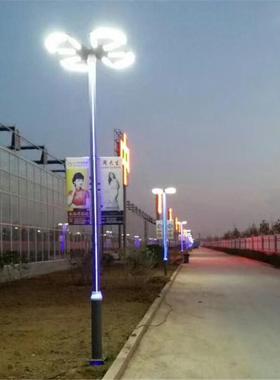 户外景观灯欢迎来图来样订制景观路灯LED园林景观路灯